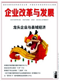 企业改革与发展